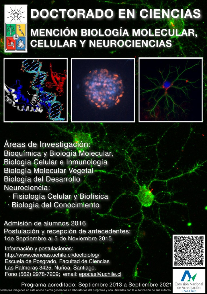 Doctorado En Ciencias Mención Biología Molecular Celular Y ...