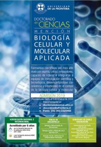 Doctorado En Ciencias Mención Biología Celular Y Molecular Aplicada ...